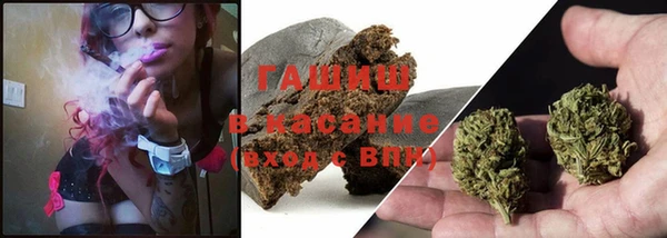 тгк Алзамай