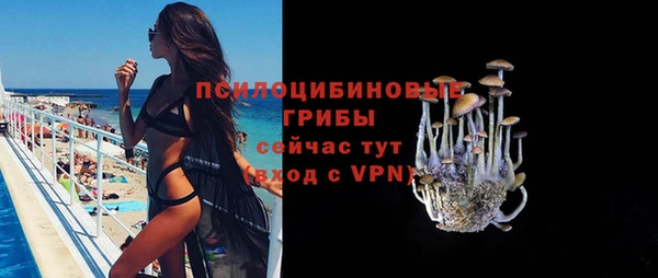 тгк Алзамай