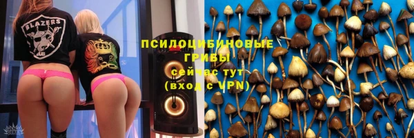 винт Алексин