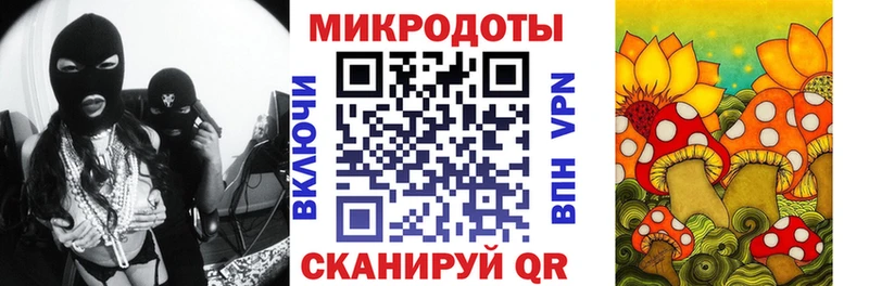 наркотики  Анива  Псилоцибиновые грибы Psilocybe 